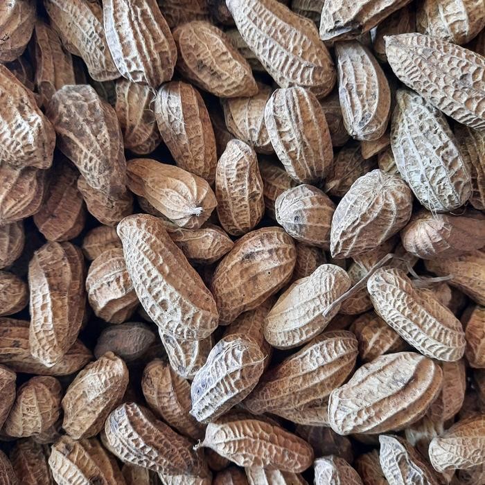 

Kacang Kulit Sangrai 500 gram