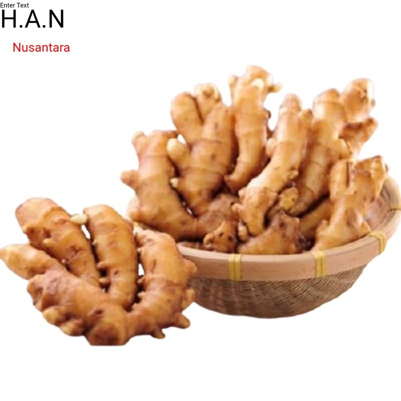 

Jahe emprit basah segar organik 1kg siap ambil ke kebun