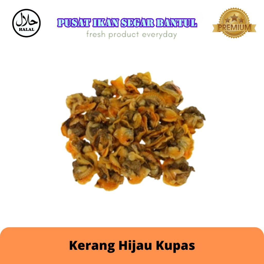 

Kerang Hijau Kupas Premium 1kg | Daging Kerang Segar & Frozen – Siap Masak