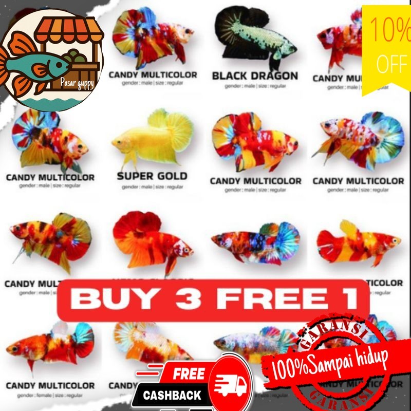 Hiasan aquarium CUPANG J4NT4N PELAKAT BERVARIASI HALFM00N, GIANT | CUP4ANG GRADE |