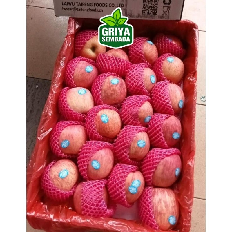 

Indukbuah Apel Fuji 1 Dus karton 17kg isian 88 100 125 138 163 Griya Sembada