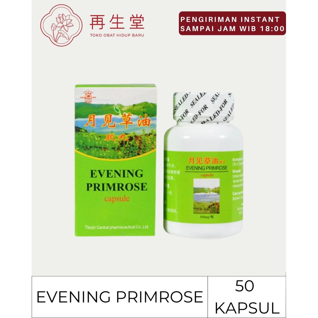 EVENING PRIMROSE | PT SINAR HERBA RADIX | MENURUNKAN KADAR KOLESTROL DALAM DARAH
