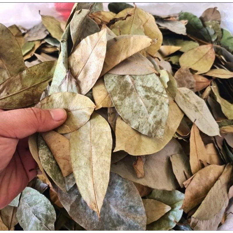 

Daun Sirsak Kering 100 gram - Kualitas Bagus