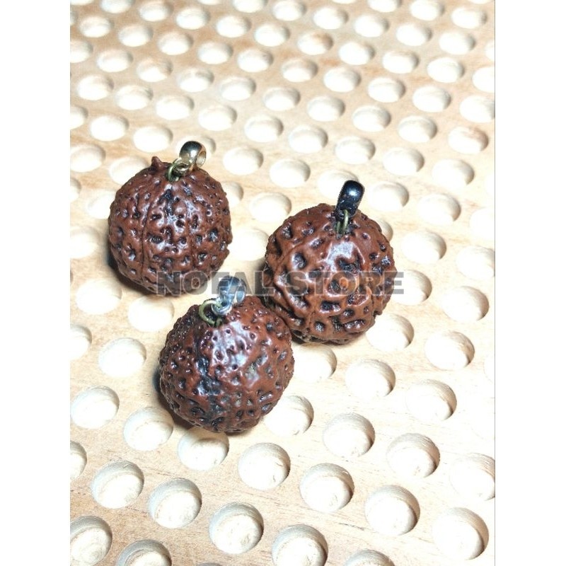 Liontin Rudraksha Jumbo Besar Jenitri Baru