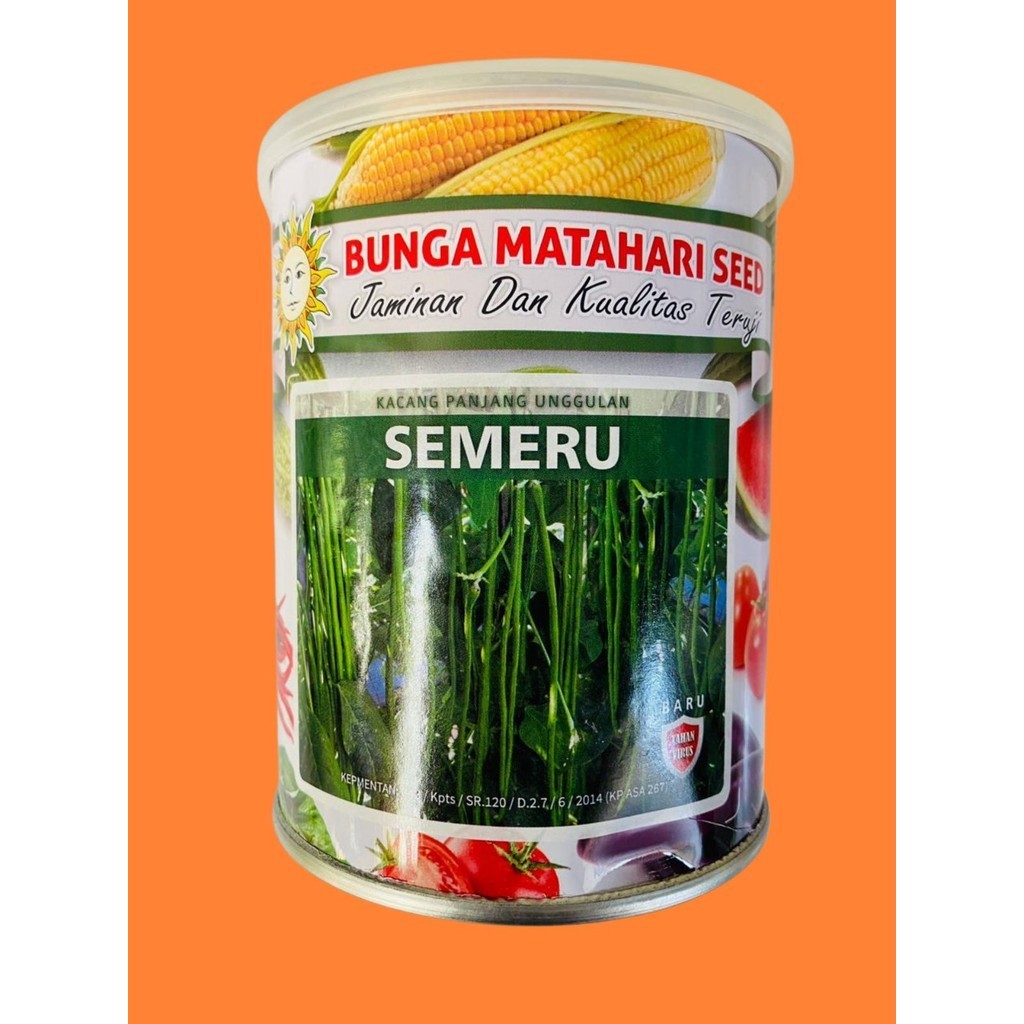 Benih Kacang Panjang SEMERU berat isi 500 gram dari BUNGA MATAHARI SEED