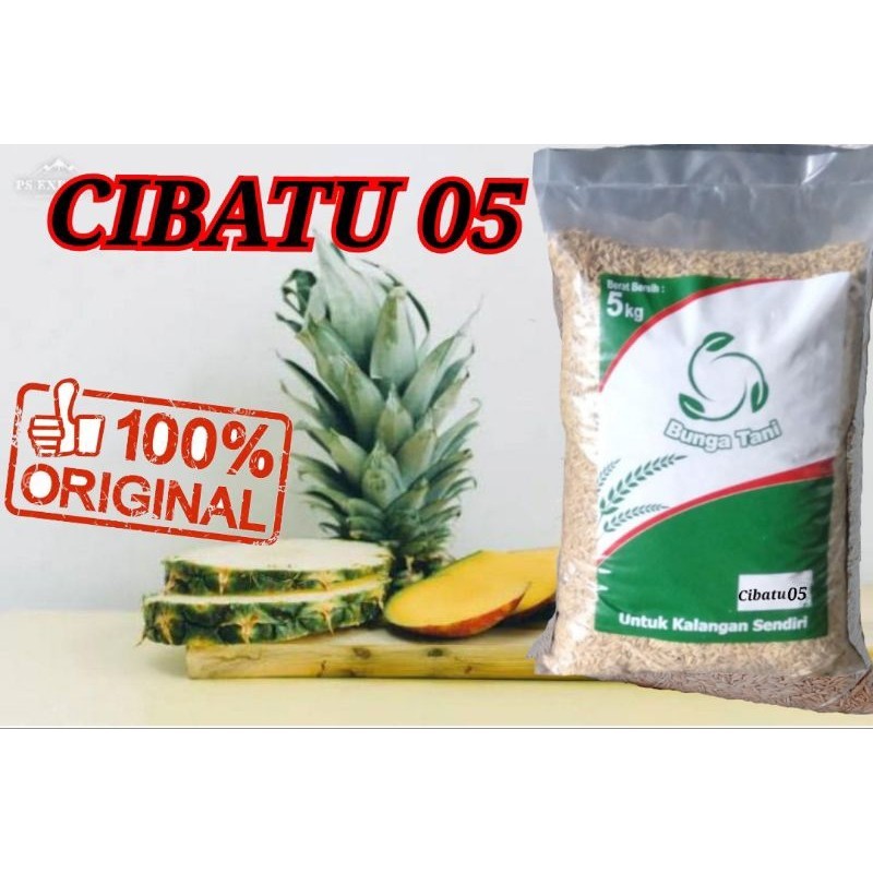 Benih padi Cibatu 05 unggul 5kg ori