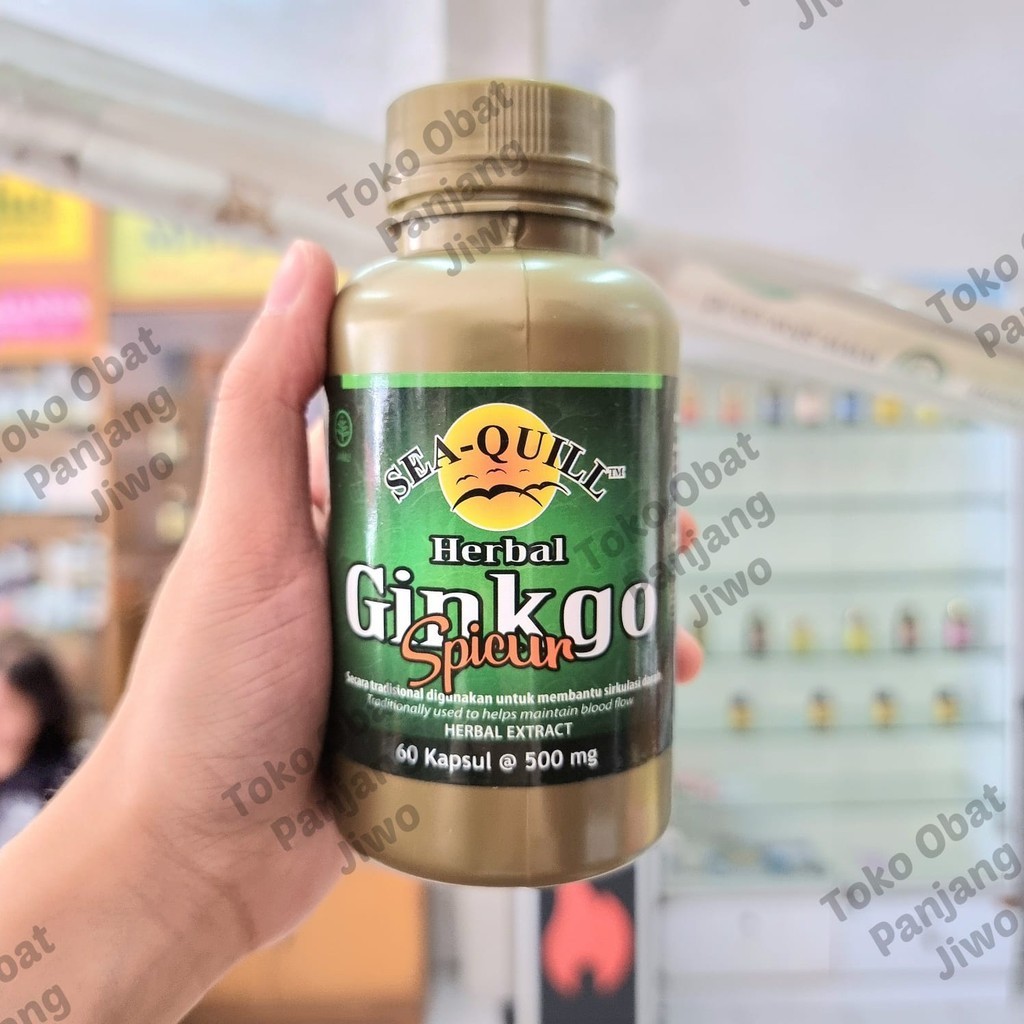 SEA QUILL HERBAL GINKGO SPICUR 60 KAPSUL GINGKO BILOBA DAYA INGAT