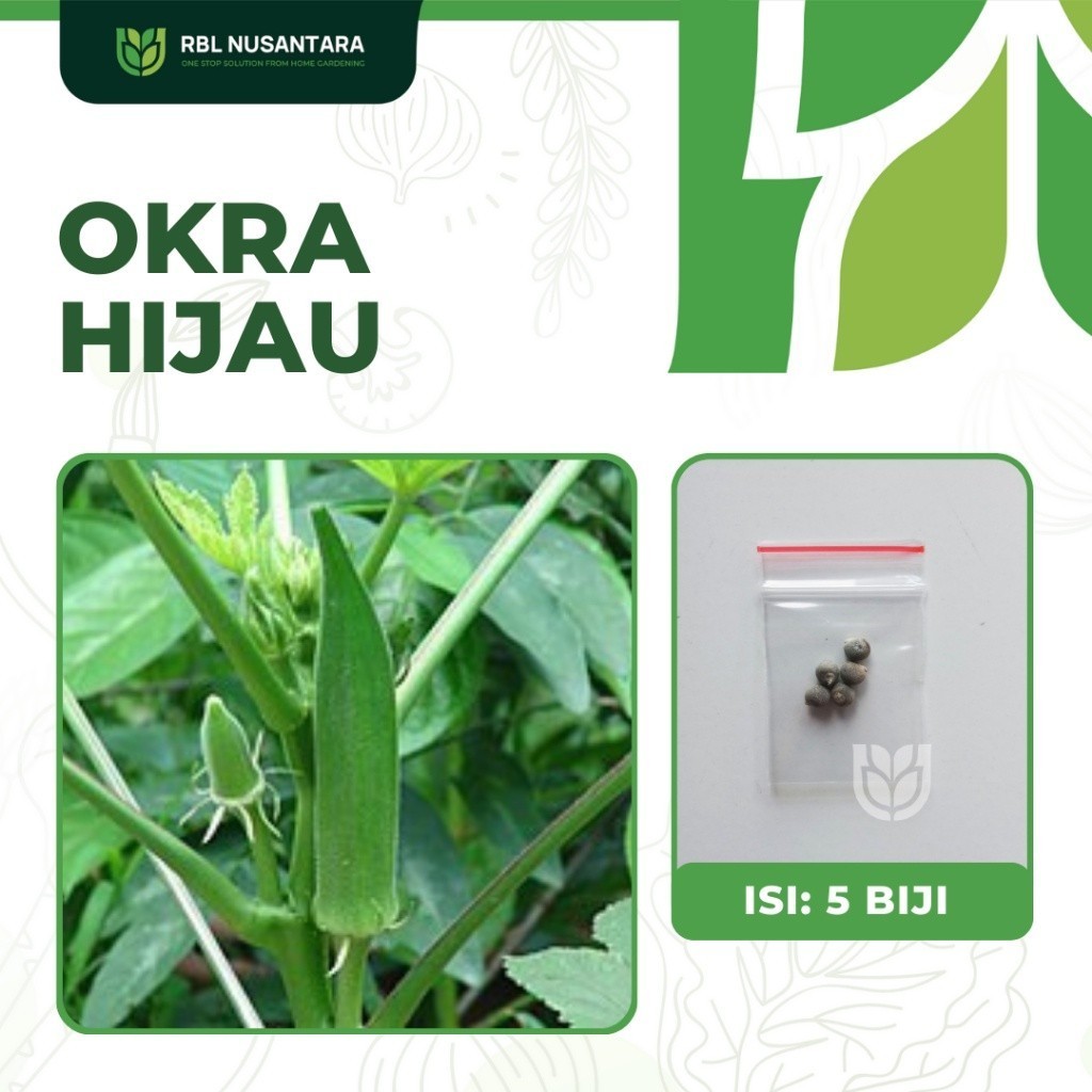 5 Benih Okra Hijau Sayuran Buah Okra Hijau F1 Hibrida