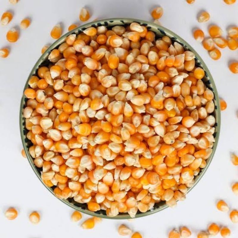 

Jagung Popcorn Mentah / Jagung Brondong Mentah / Berat 500 Gram