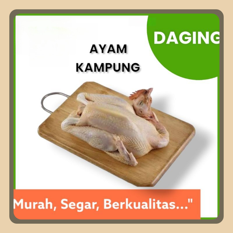 

AYAM KAMPUNG SEDANG 1 EKOR | NUSANTARA MARKET