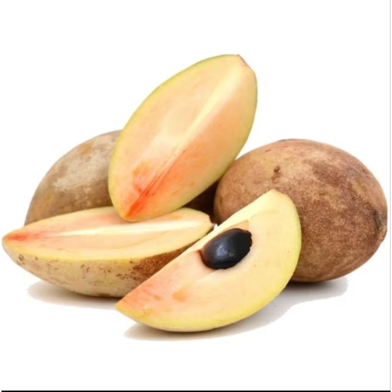 

buah sawo madu segar 1kg (packing aman) khualitas import