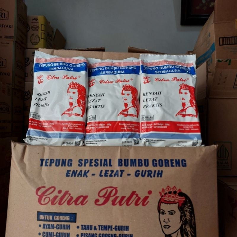 

Tepung Serbaguna Citra Putri 250gr / Tepung Putri 250gr