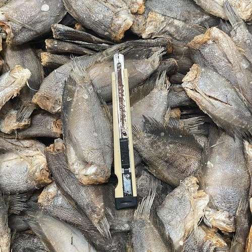 

ikan asin sepat tanggung murah