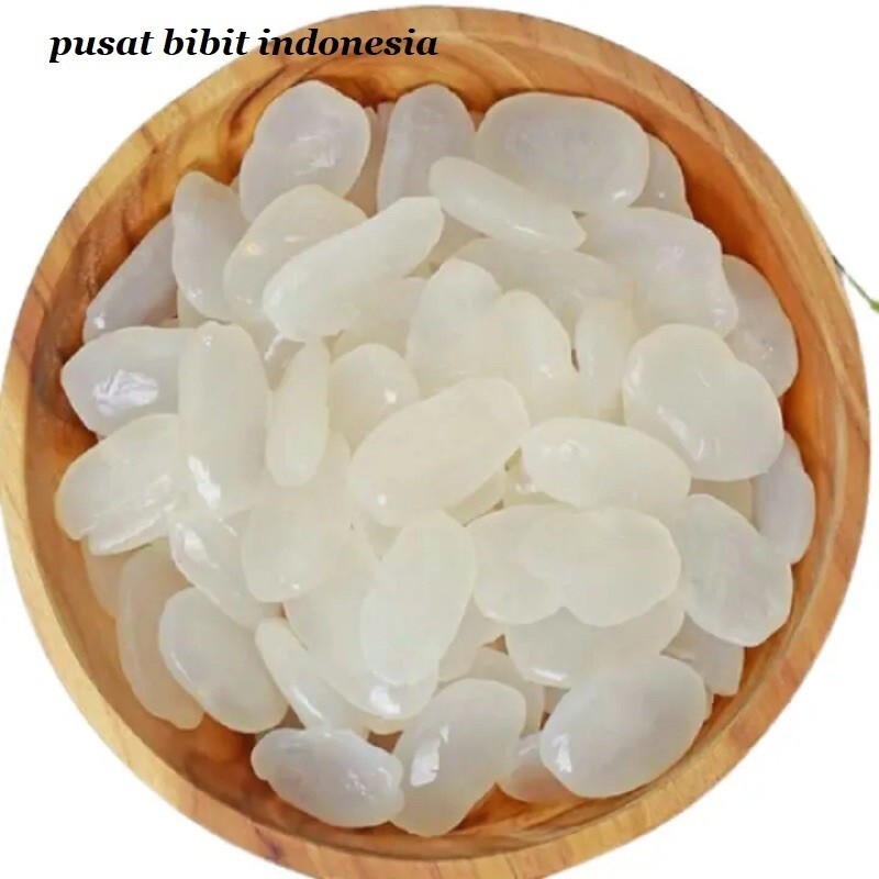 

kolang kaling 1 kilo kwalitas no 1