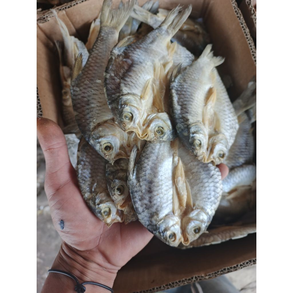

grosir ikan asin, ikan tawes, ikan asin tawes, ikan asin belah, berat 500gram..