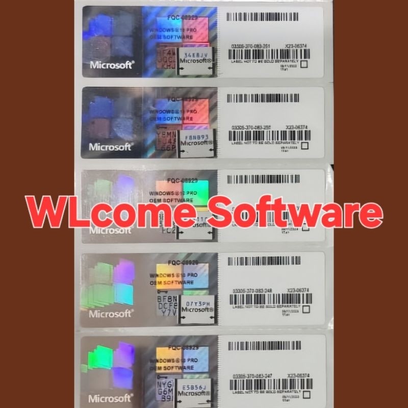 Lifetime - Sticker Coa Win 10 Pro Ori ( WINDOWS 10 PRO )