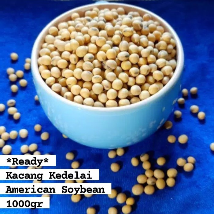 

[[ K23 - BEST SELLER ]] kacang kedelai organik 1kg
