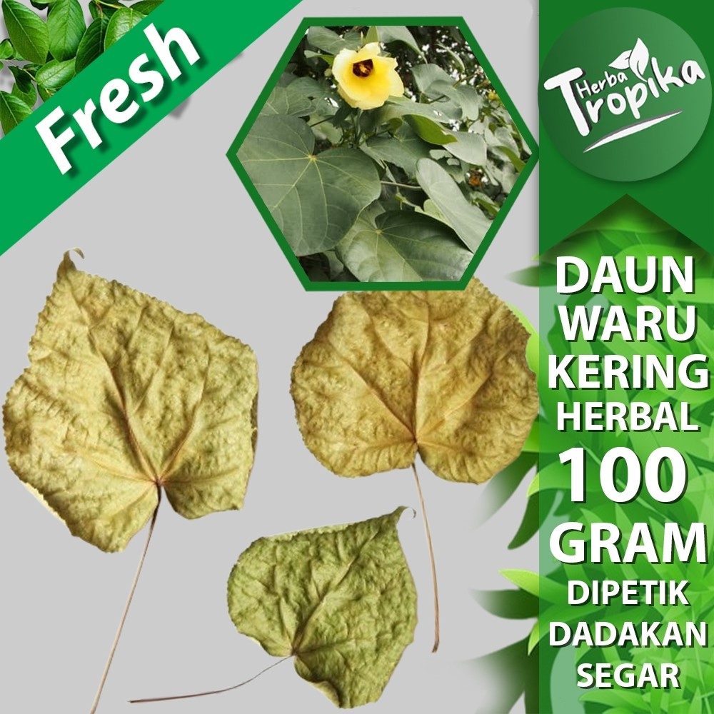 

Daun Waru kering (Hibiscus tiliaceus) 100 gram herbal alami toko herba tropika
