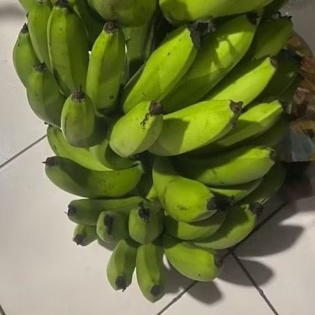 

Buah Pisang Mentah TP PB Mini Pisang Bangkaulu Fresh