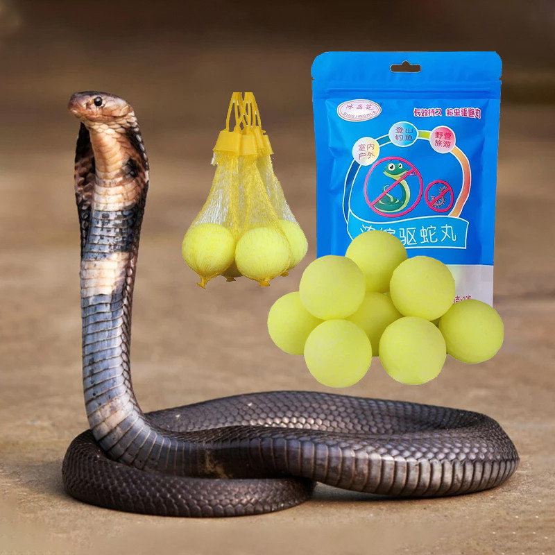 10pcs Anti Ular Alat Pengusir Ular Masuk Rumah Snake Repellent