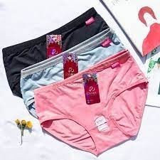 (CDW819) Celana Dalam Wanita CD Wenrou atau Fema polos