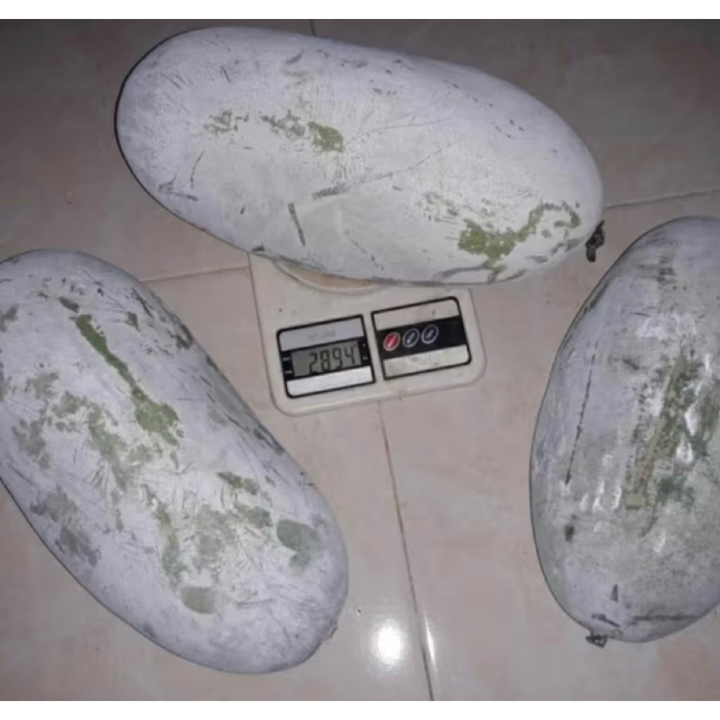 

promo cod buah bligo atau buah kundur atau winter melon 1 - 1,5 kg (bergaransi)