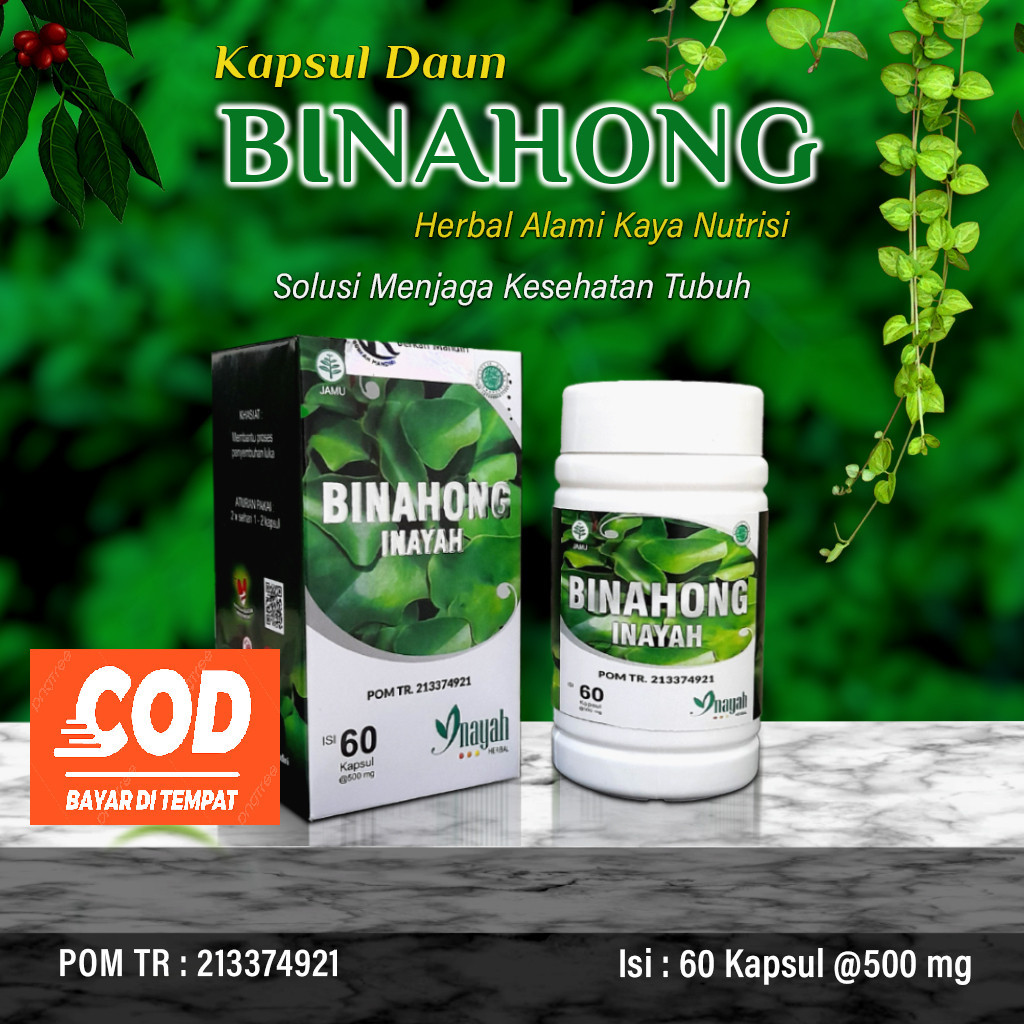 Pusat Import Id  - kapsul binahong Inayah Extrak Bpom