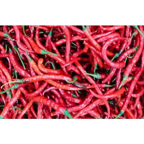 

Paket cabe merah keriting/CMK 1kg