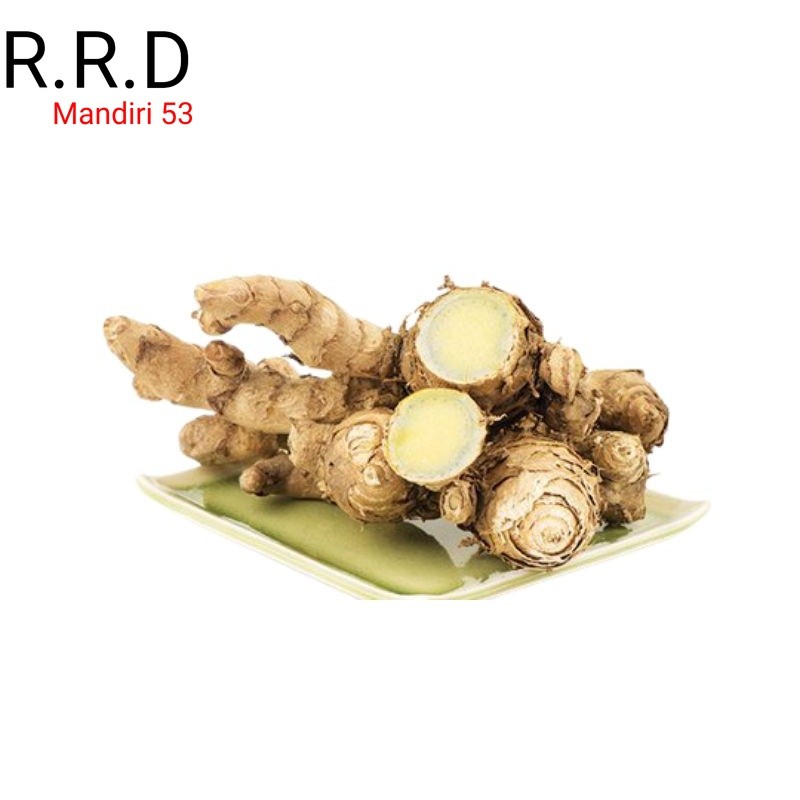 

Ready Kunyit hitam 1kg temu ireng hitam segar basah