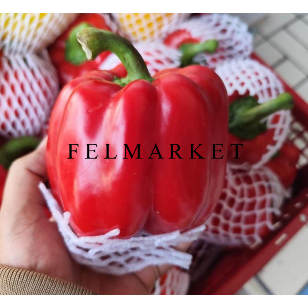 

Paprika Merah Fresh / Paprika Segar / Paprika red / 1 Kg