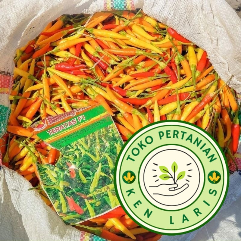 READY RIPACK 30 Biji - Benih Cabe Rawit Setan Hibrida F1 Lentera F1 / Teratas F1 Benih Cabai Rawit M