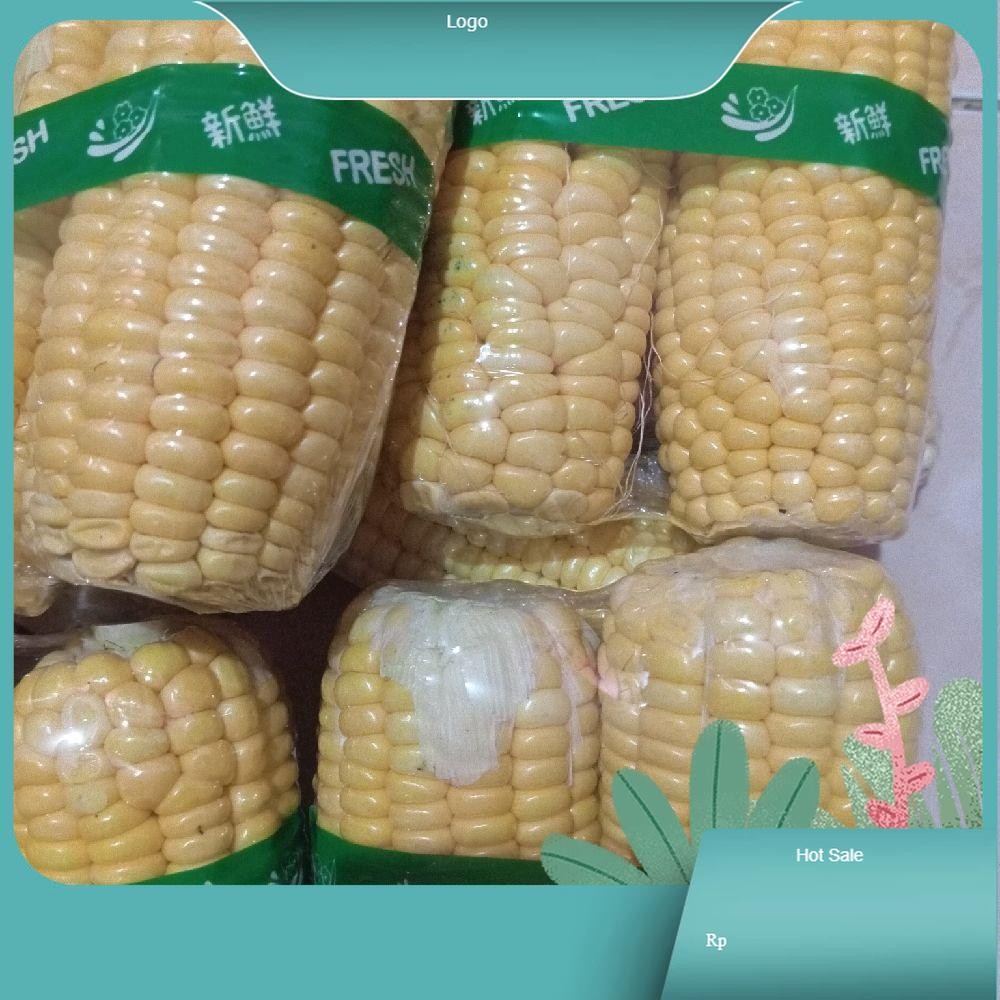 

wortol ,terongungu, labu, jagung, kol sayuran kombinasi Wortel