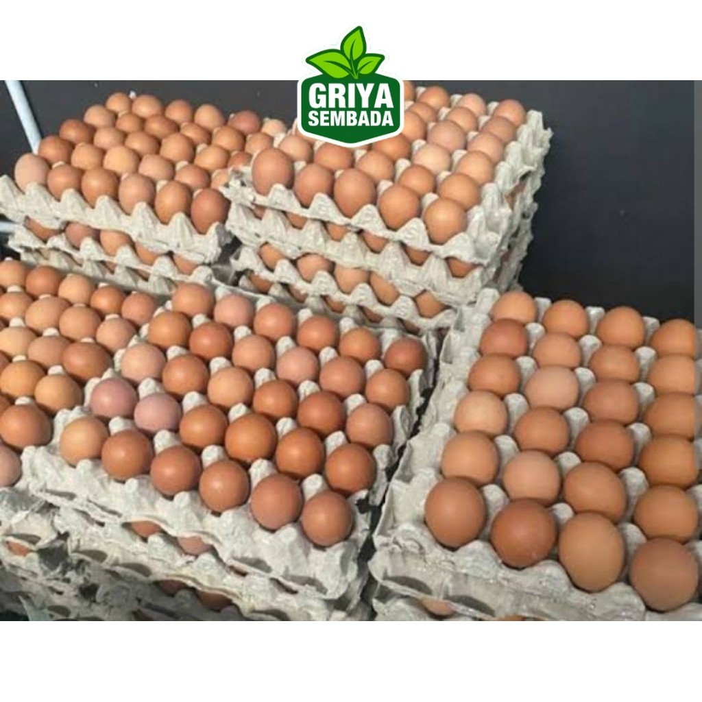 

TELUR AYAM NEGERI GRADE A 1 Kg isi 15-16pcs Griya Sembada