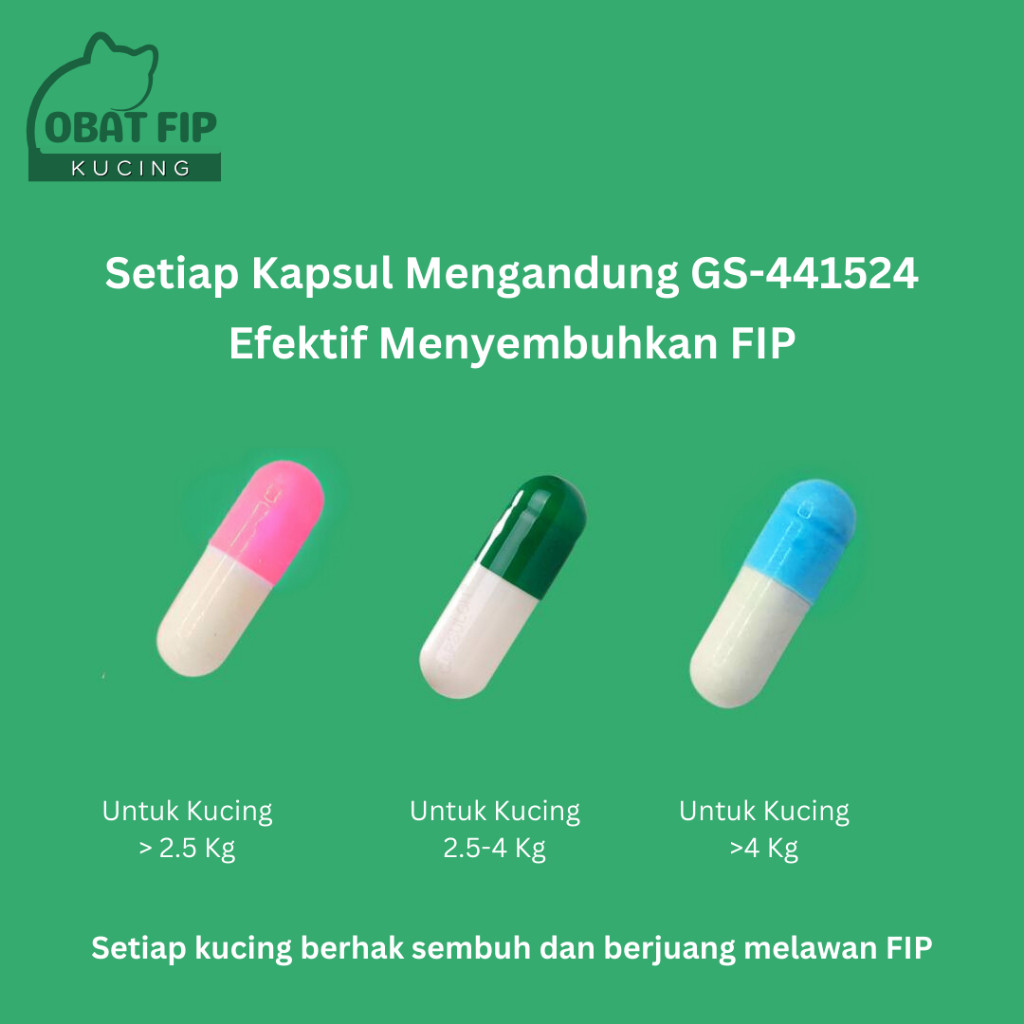 Obat FIP Kucing - Oral Kapsul Pengobatan Kucing FIP / Obat Kucing FIP / Pil Antivirus Kucing FIP