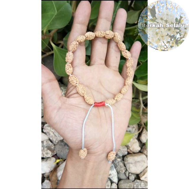 GELANG  JENITRI RUDRAKSHA MUKHI 2 Berkah_Selalu