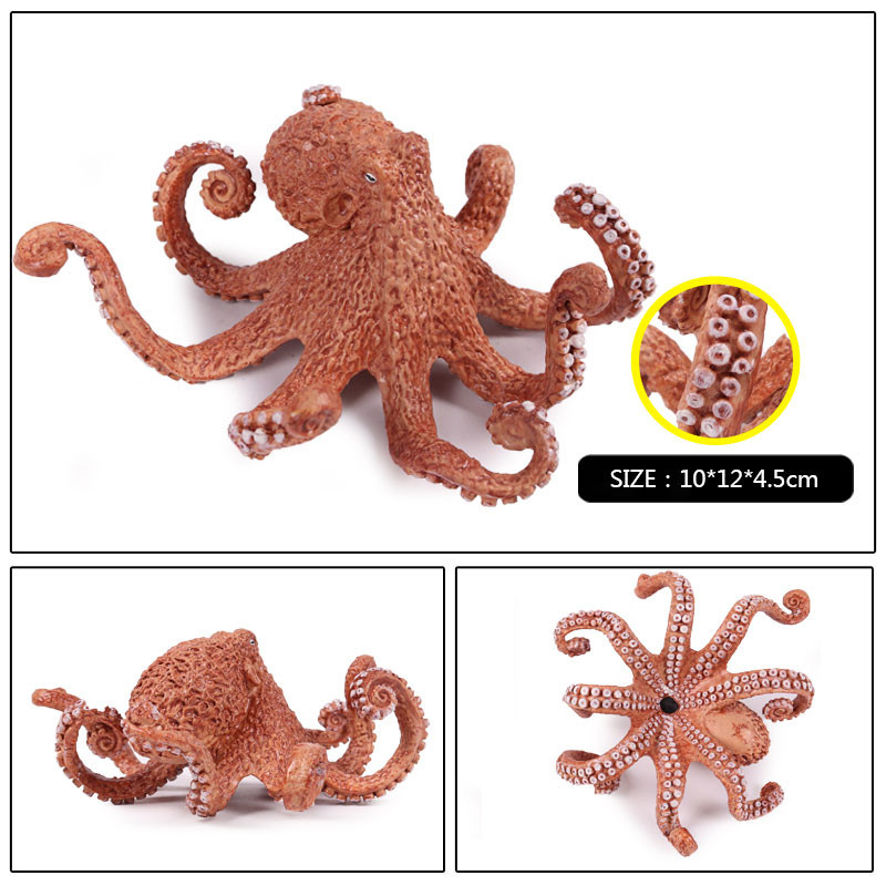 Marine Molluscs Model Simulation Squid Octopus Growth Cycle Action Figure Sealife Animals Education 