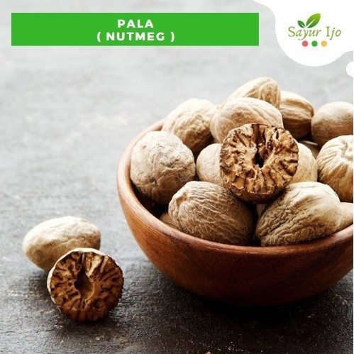 

TERJUAL Biji Buah Pala 100 Gram Fresh Grade A Nutmeg Bumbu Masakan Rempah