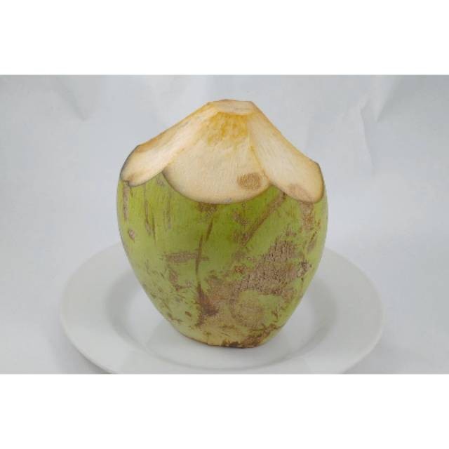 

Kelapa Muda 1 pcs