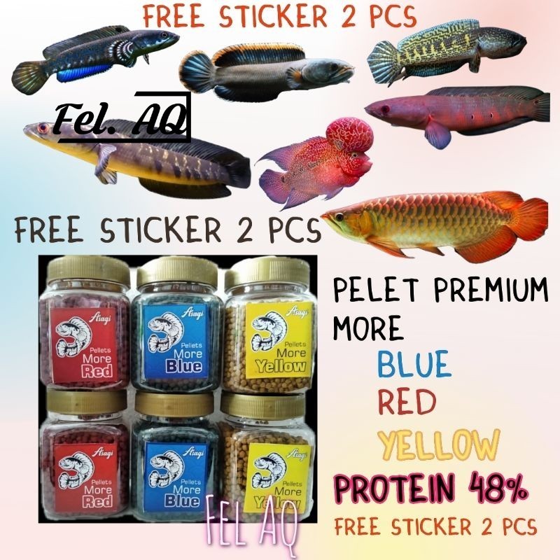Pellet More Blue Red Yellow Special Channa Predator Pelet Premium Pakan Ikan Louhan Arwana Pulchra B