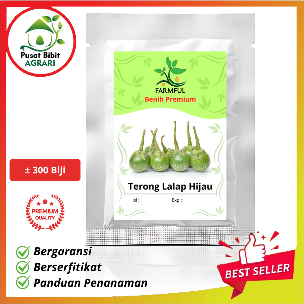 Benih Terong Lalap Hijau Unggul Kemasan Besar Pusat Bibit Agrari