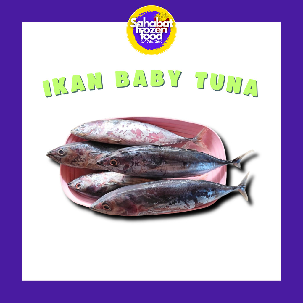 

Ikan Baby Tuna Fresh / Ikan Tuna Kecil