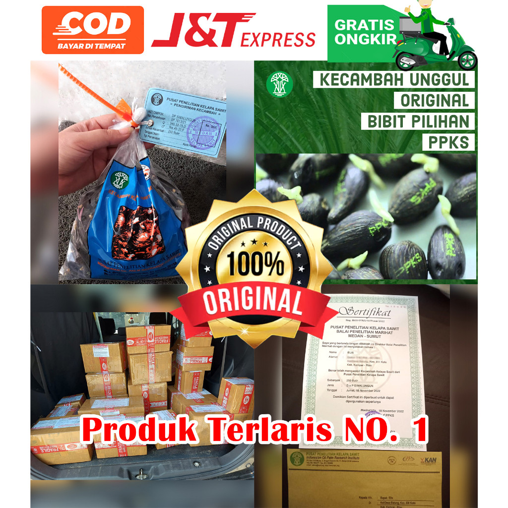 PPKS DxP SIMALUNGUN UNGGUL DAPAT SERTIFIKAT