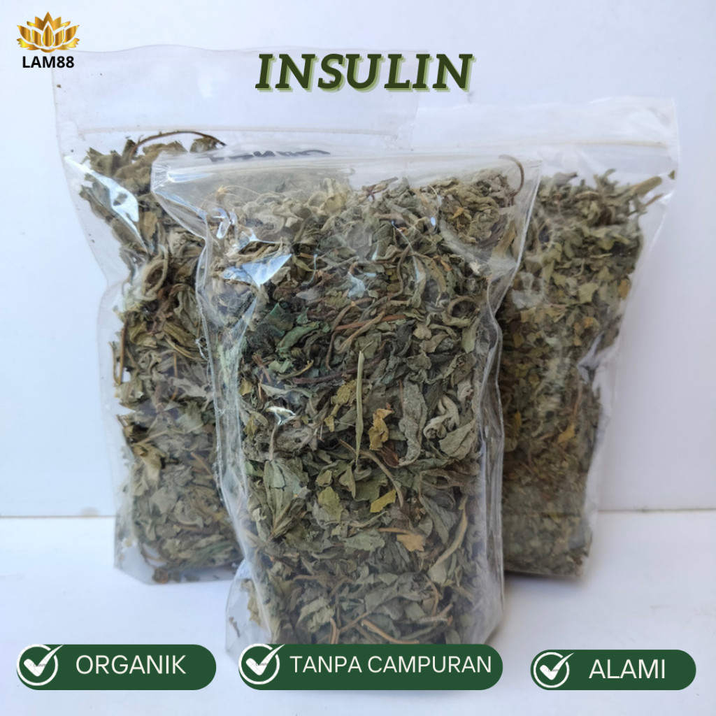 

Daun Insulin Kering - Herbal Untuk Diabetes 100 gr