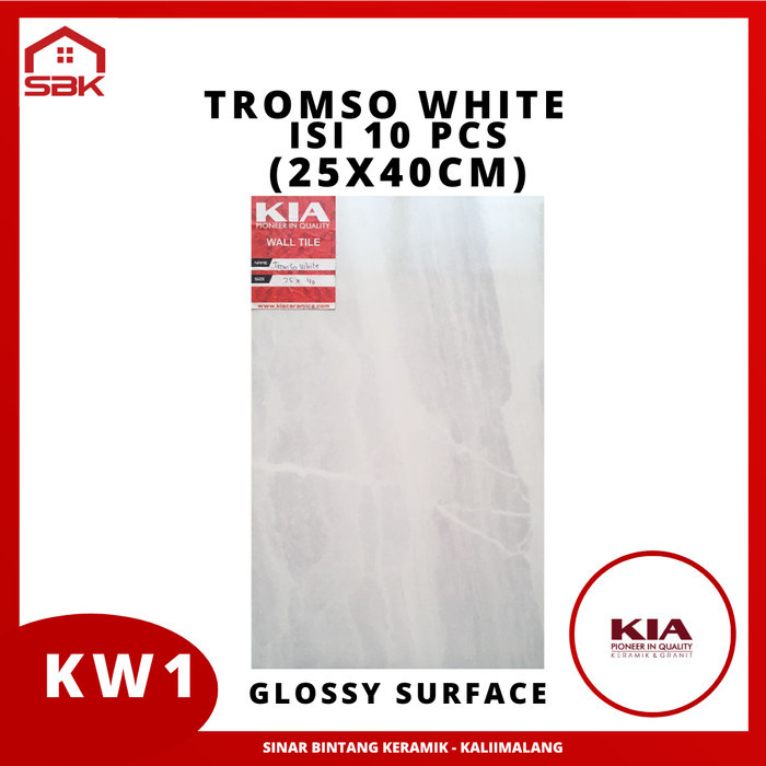 Keramik Dinding 25x40 Tromso White
