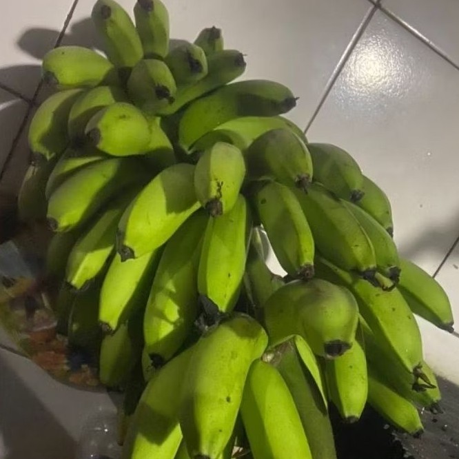 

Buah Pisang Mentah JWR Hijau Pisang Bangkaulu Fresh