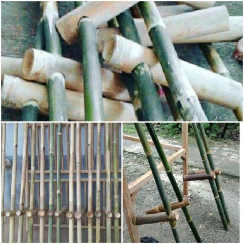 

engrang bambu erang mainan anak dan dewasa 160 cm