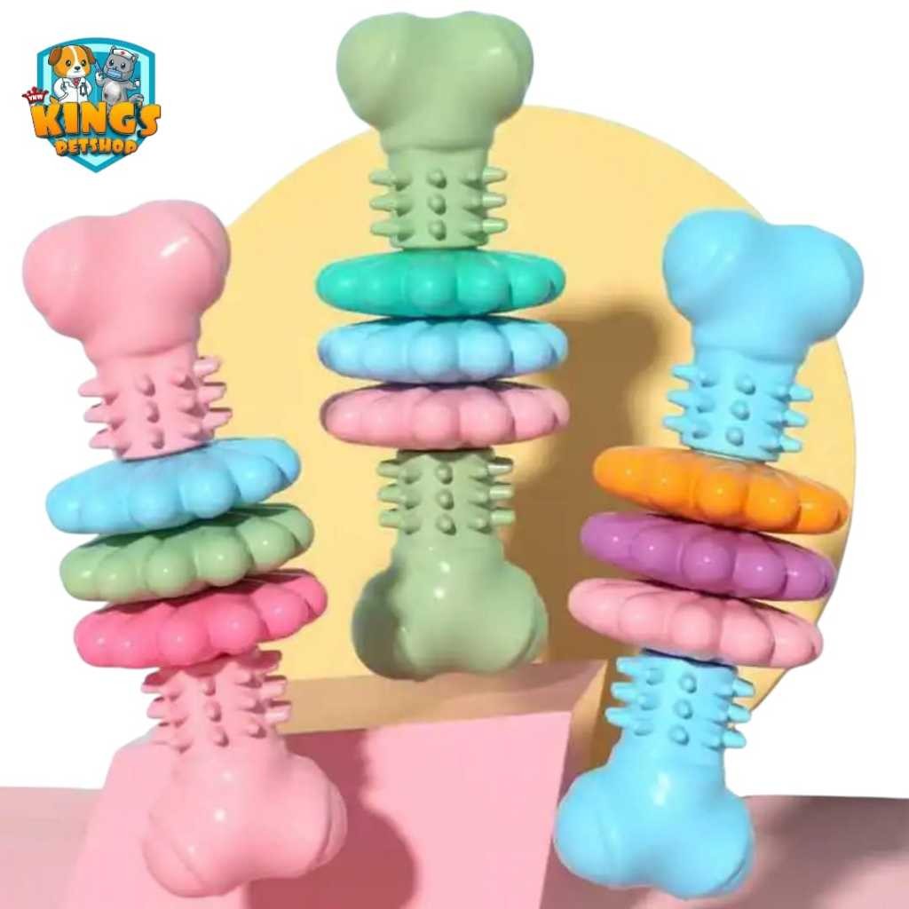 

MAINAN UNTUK HEWAN | DOG TOY BONE MOLARS