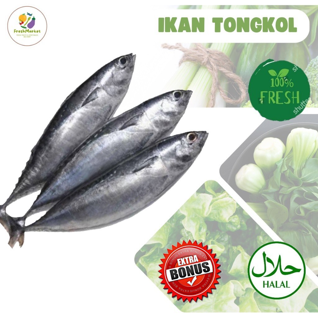 

Ikan Tongkol Segar 1 Kg Sayurinstant
