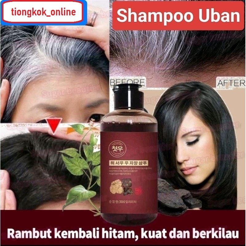 Shampoo Uban Korea Ginseng Black Herbal Natural Shampoo Penghitam Rambut Uban Permanan