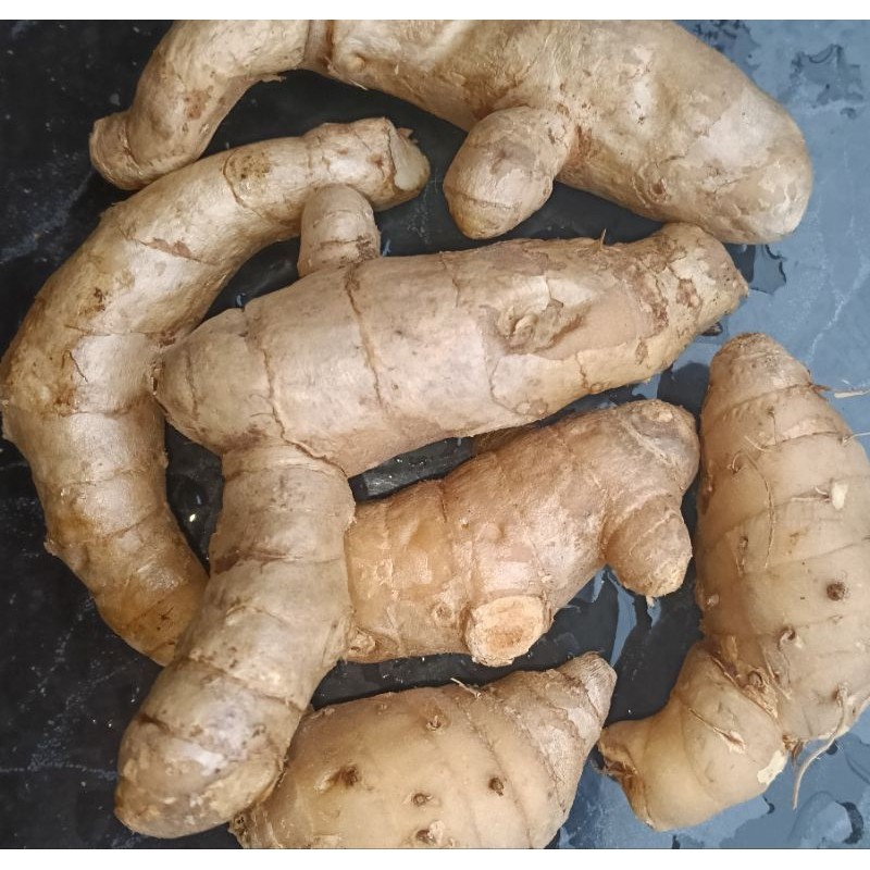 

KUNYIT PUTIH DEGAR PRES. 1 KG . TEMU PUTIH PILIHAN